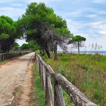 Lägenhet Amazing Beachfront Apartment-beahost *